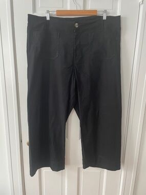 Anthropologie Maeve Colette Black Wide Leg Pants 18W